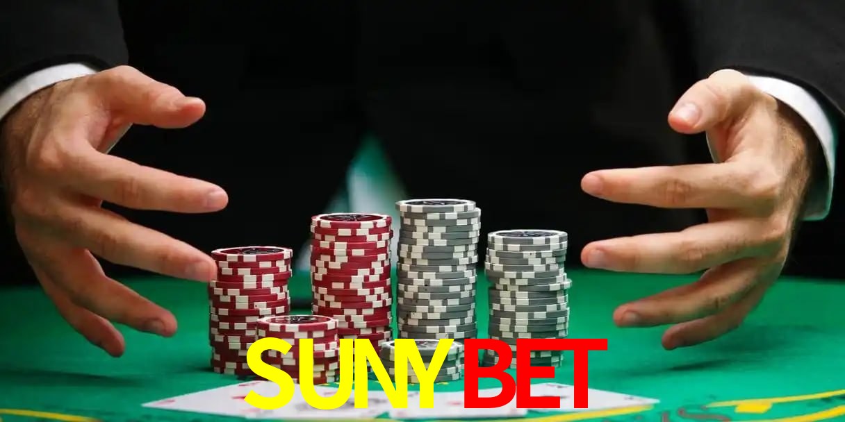 SUNYBET Aplicativo - SUNYBET visual 1